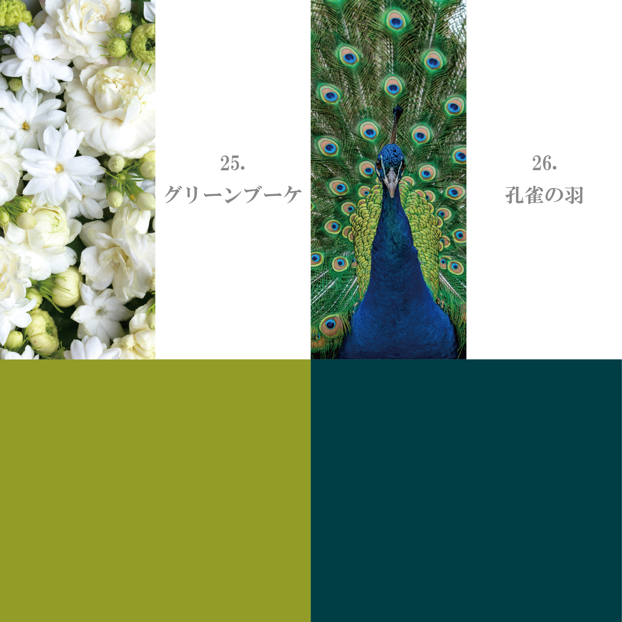 グリーン系 21-30
