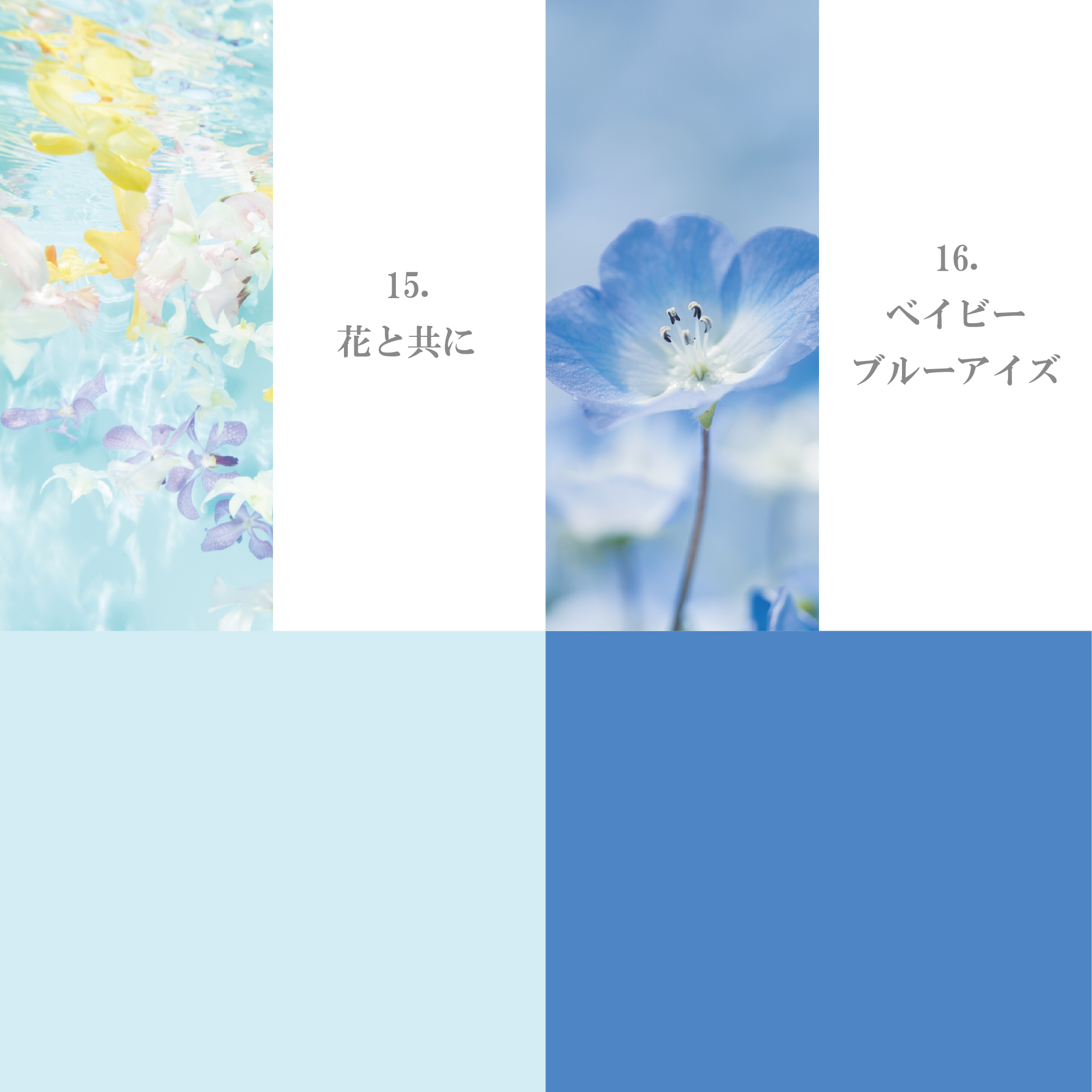 スカイ・ブルーグリーン系 11-20