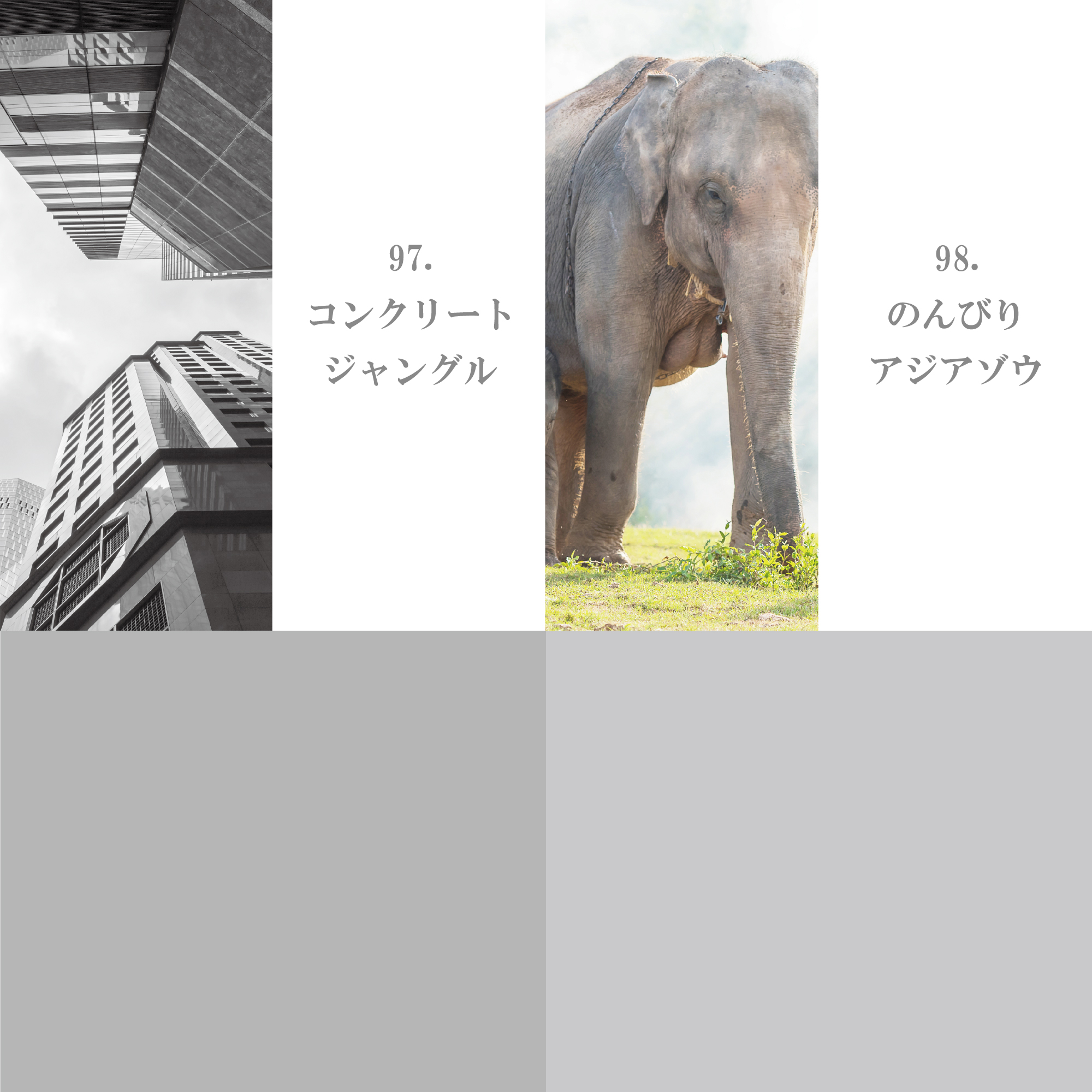 モノクローム系 91-100