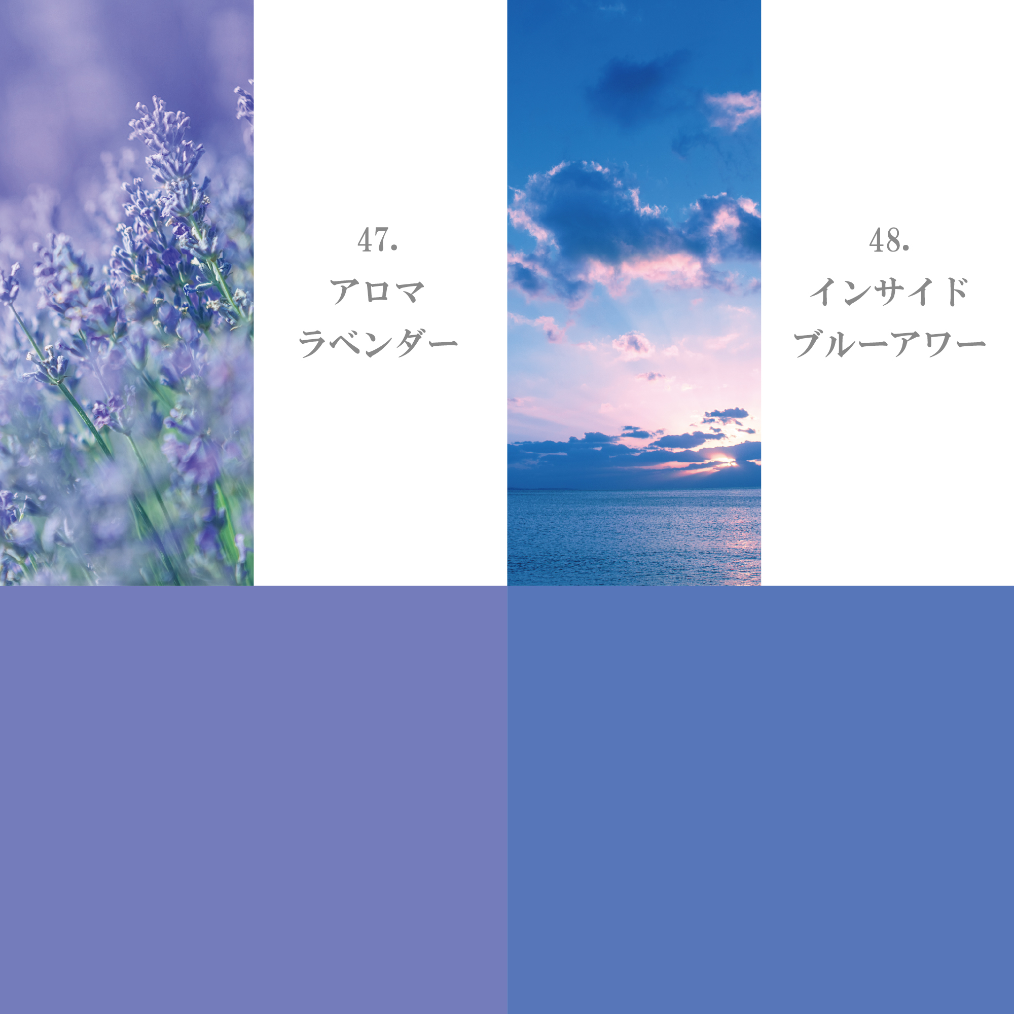 ピンク・パープル系41-50