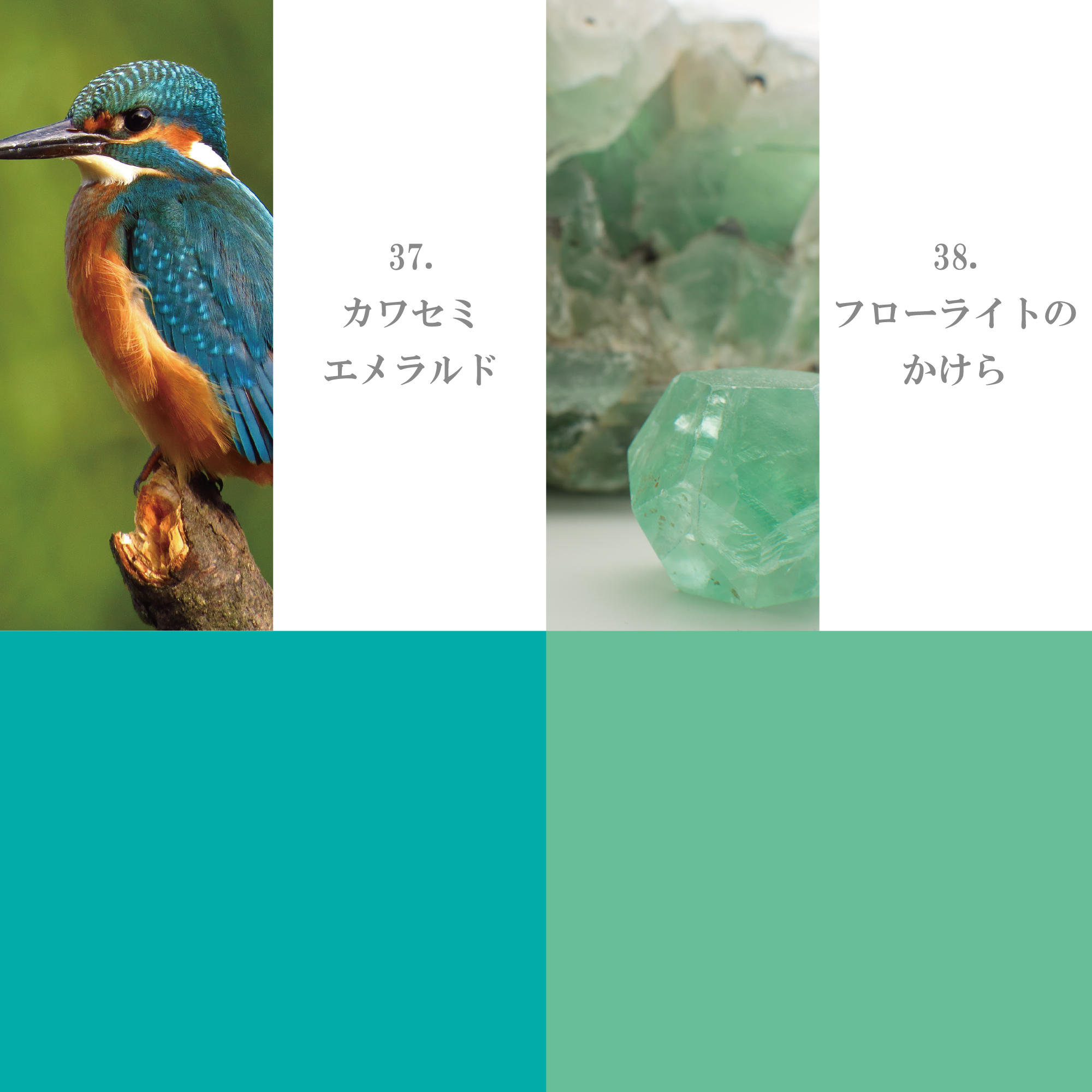 ライム・エメラルド系 31-40