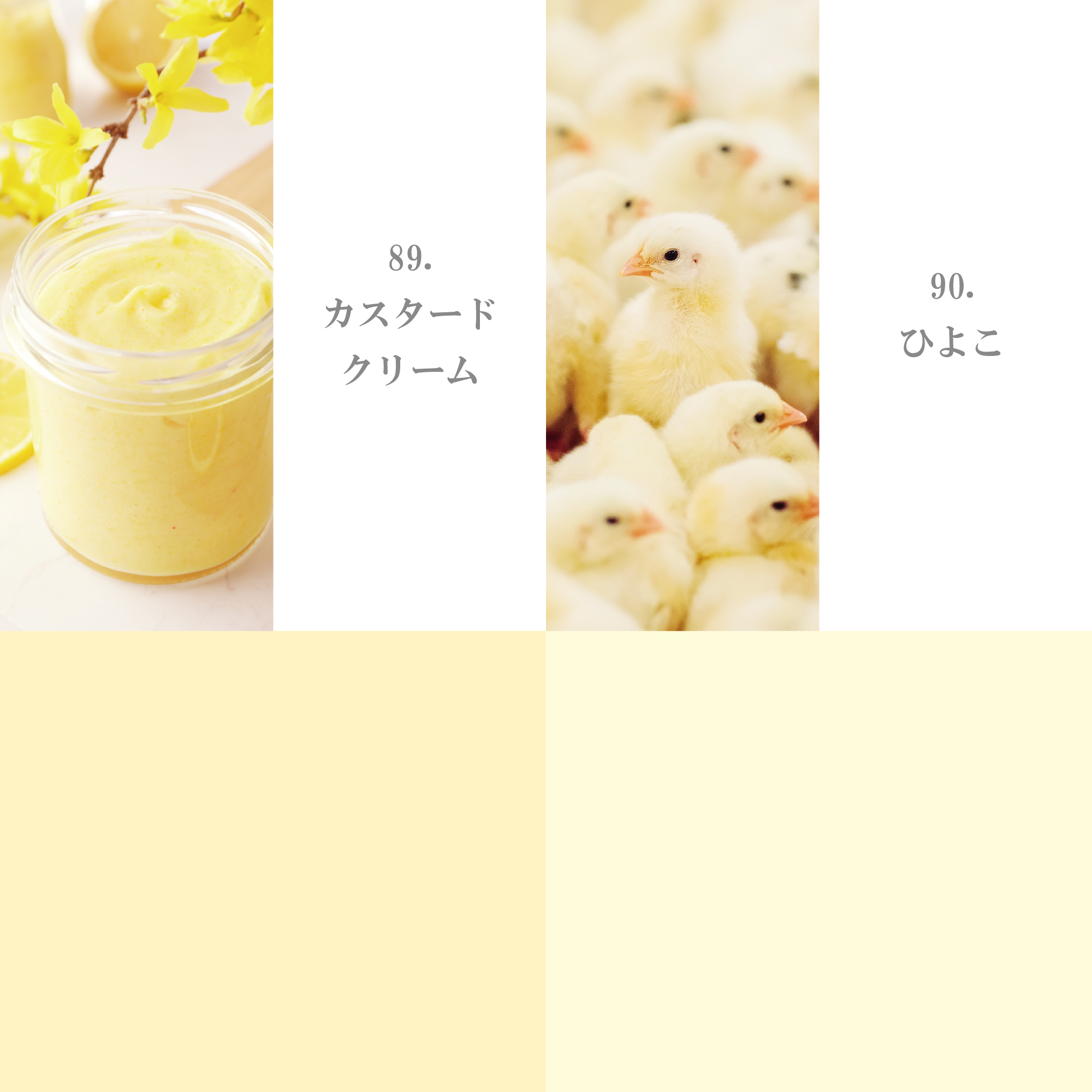オレンジ・イエロー系 81-90