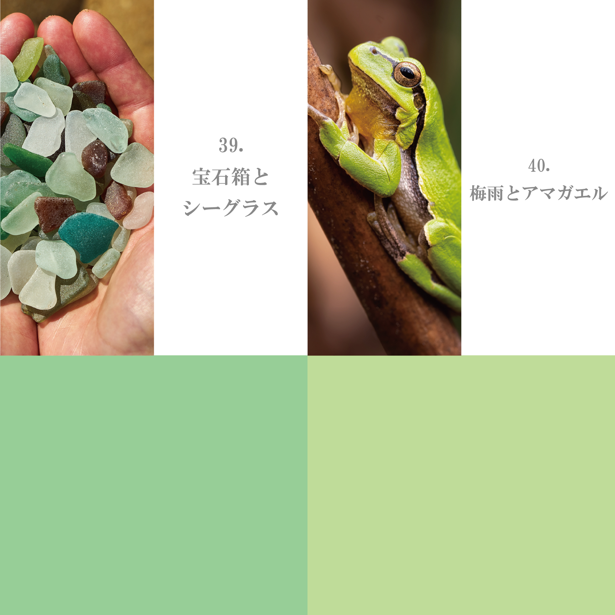 ライム・エメラルド系 31-40