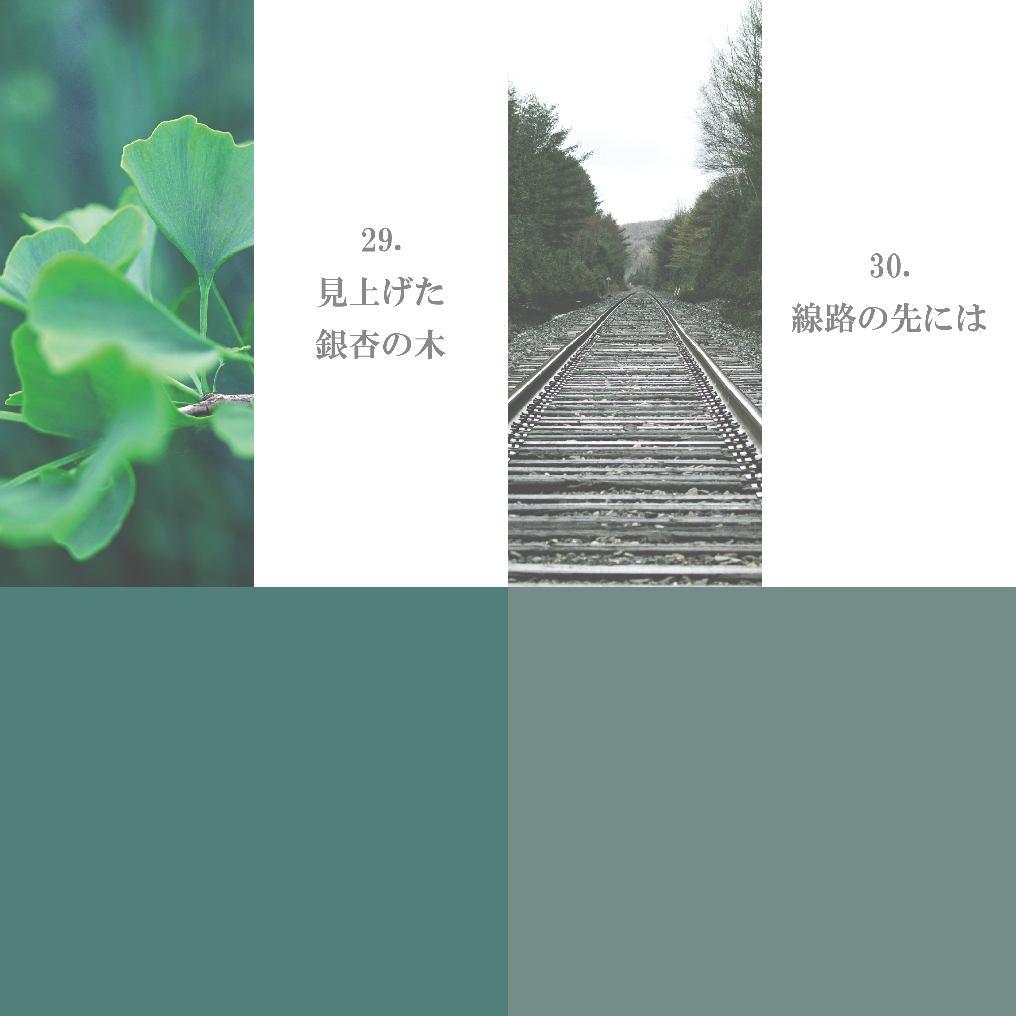 グリーン系 21-30