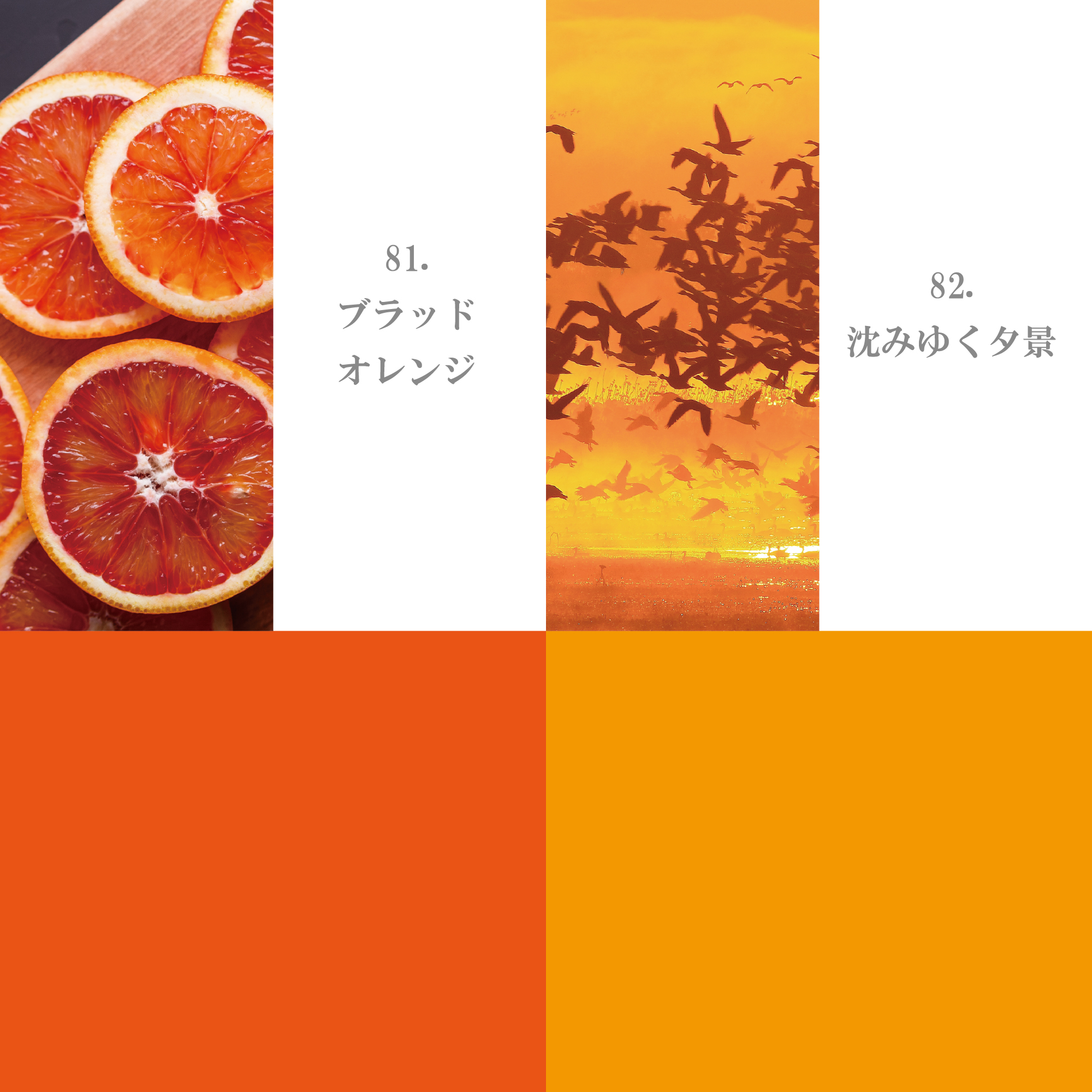 オレンジ・イエロー系 81-90