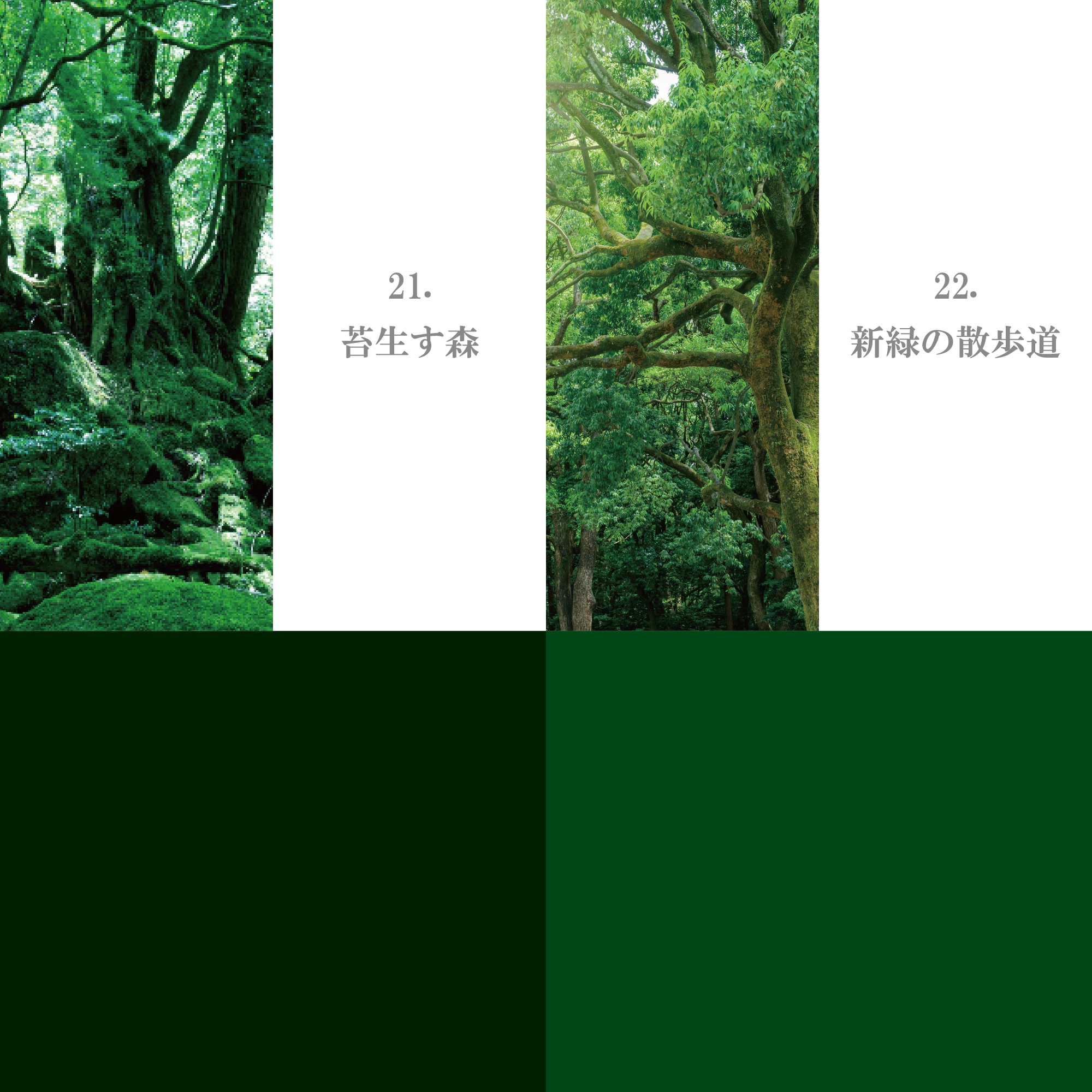 グリーン系 21-30