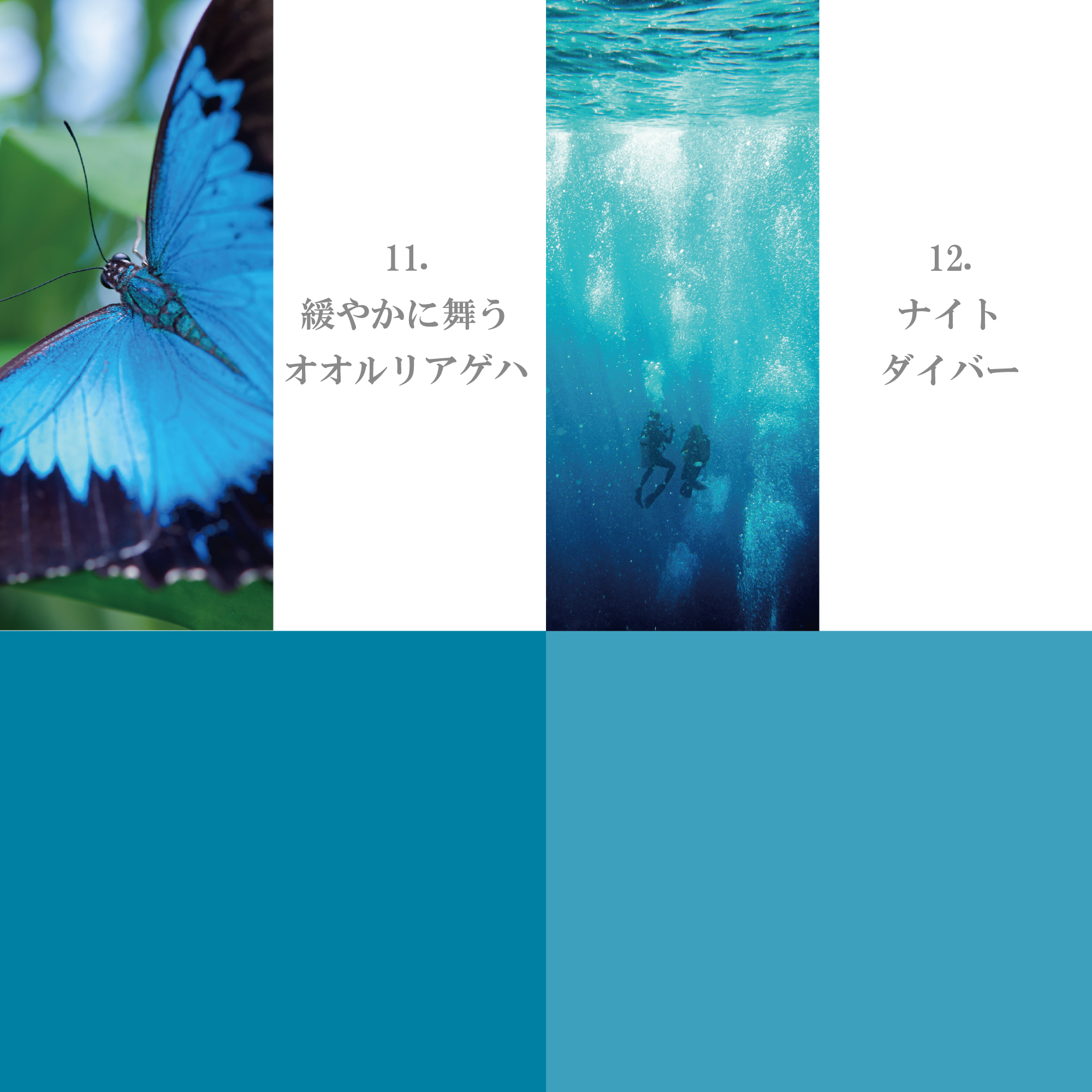 スカイ・ブルーグリーン系 11-20