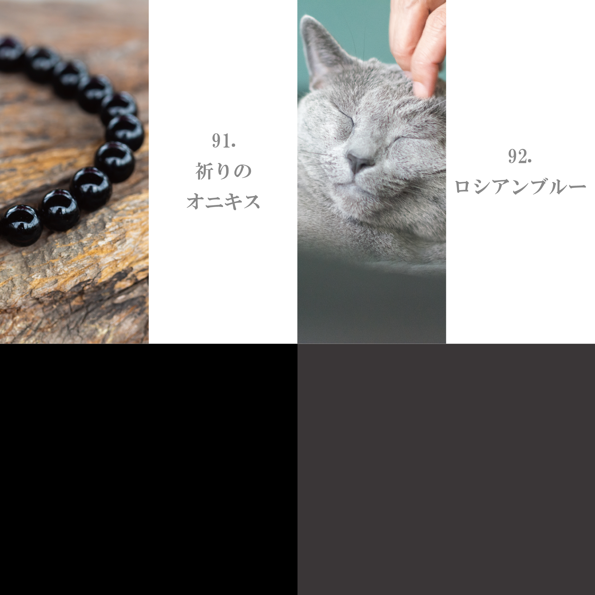 モノクローム系 91-100