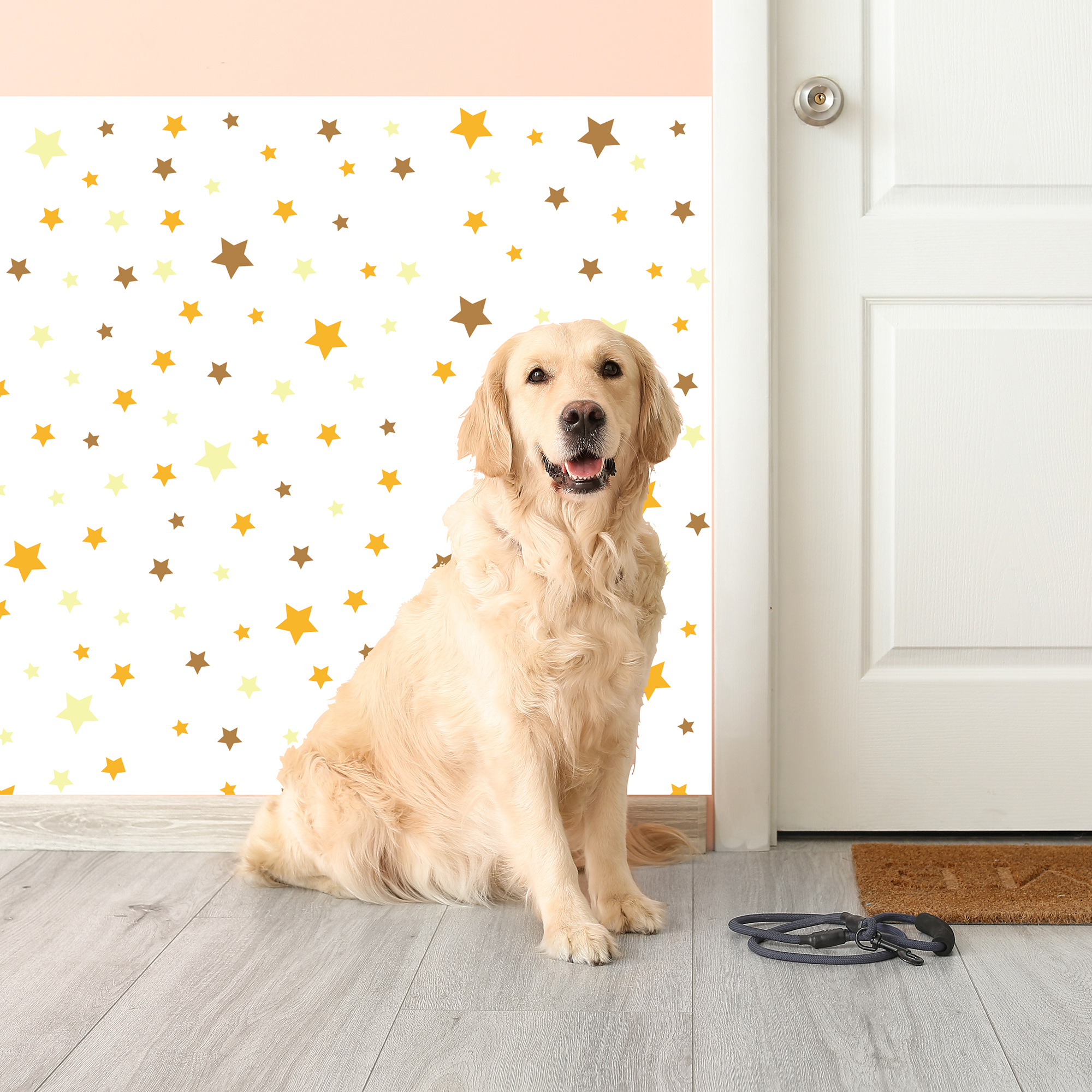 KSI-0020 Star!