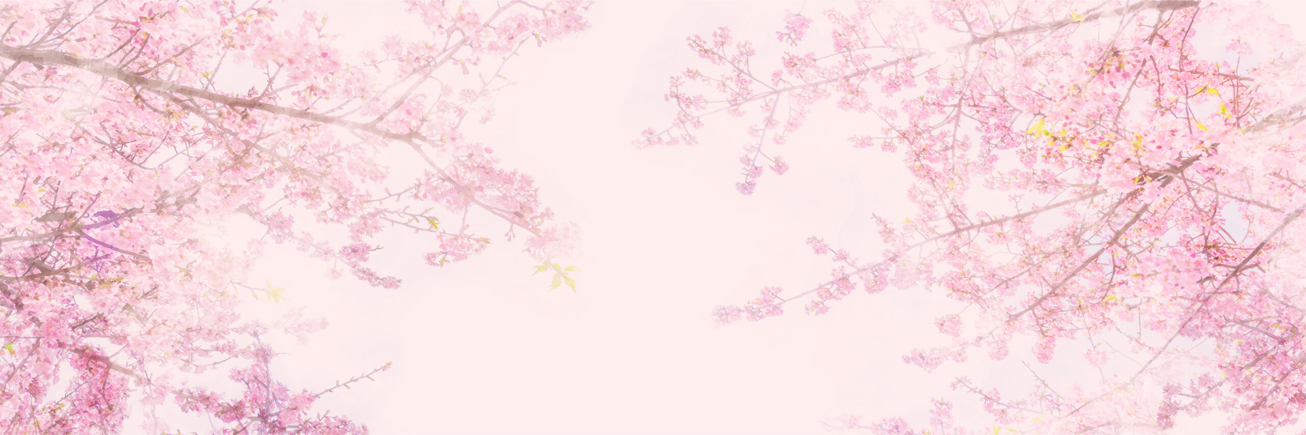 桃