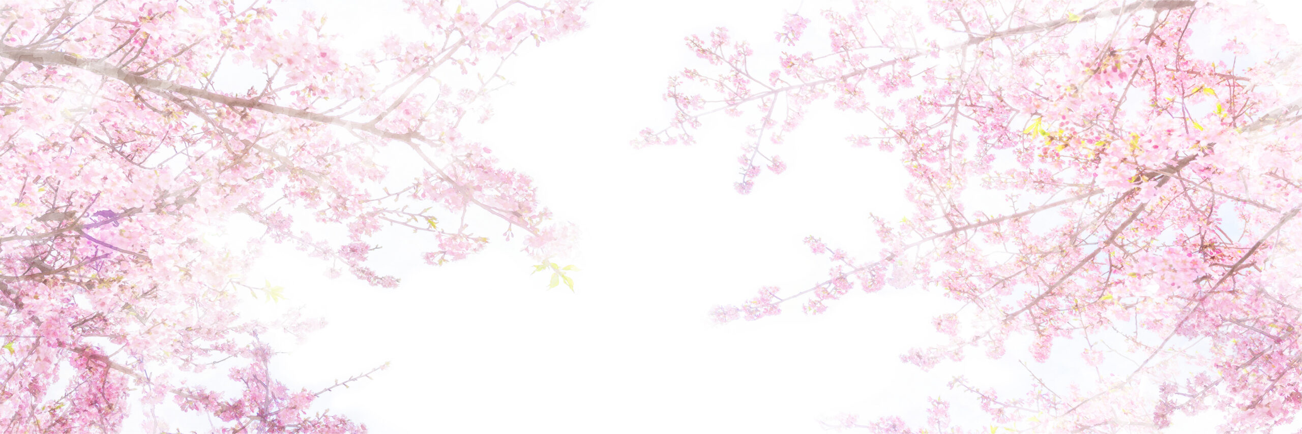 白