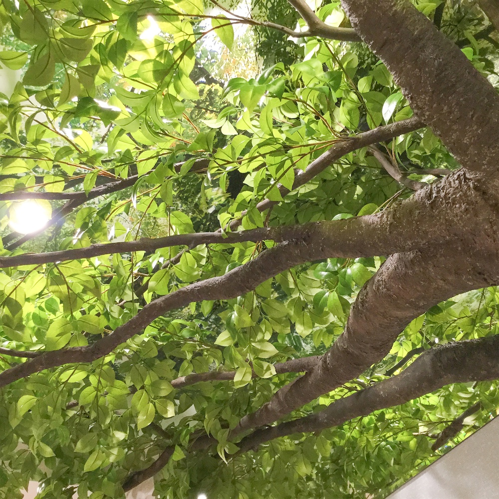 KN-0045 Leaves & Branches