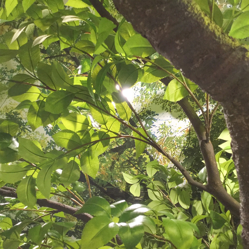 KN-0045 Leaves & Branches