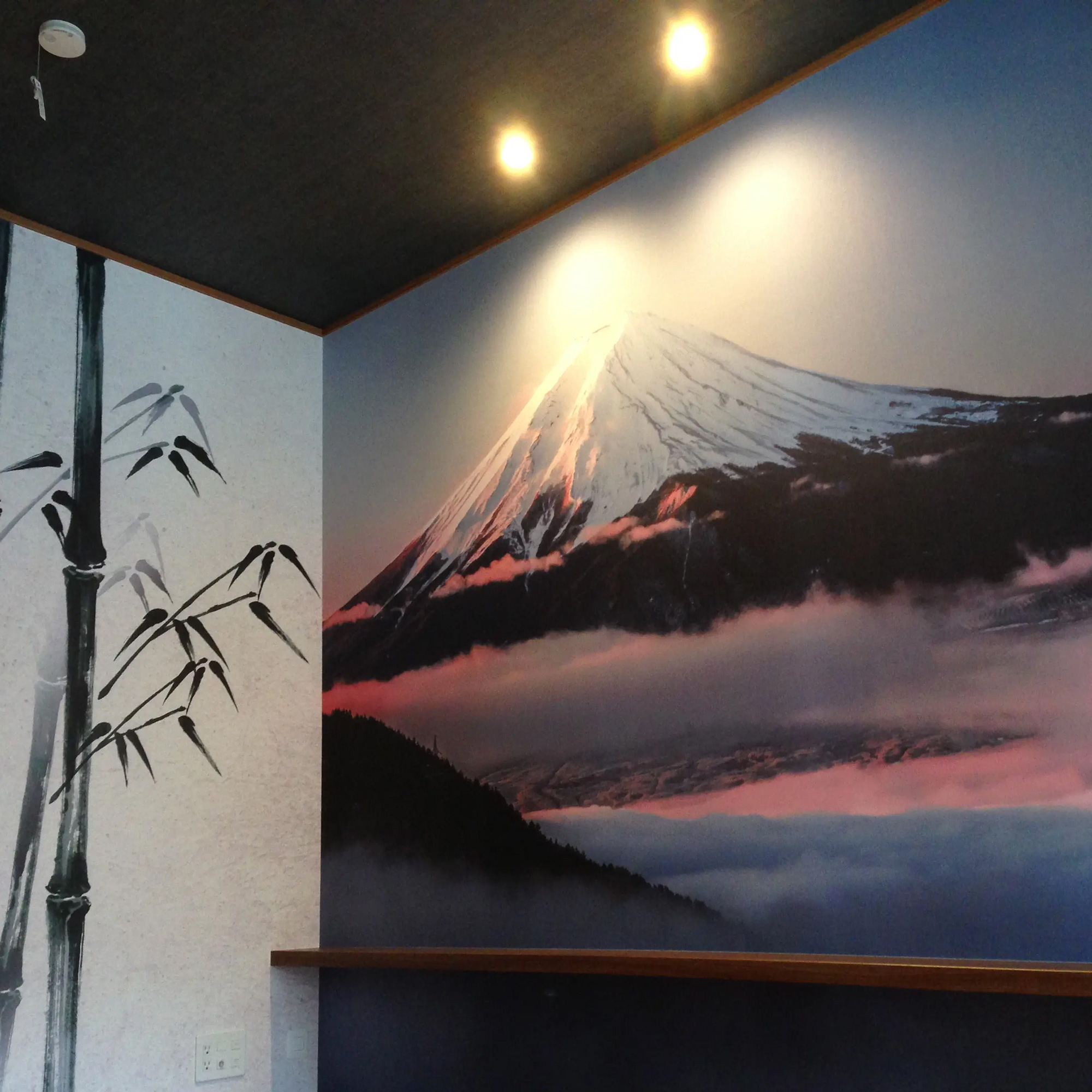 Mt.FujiC