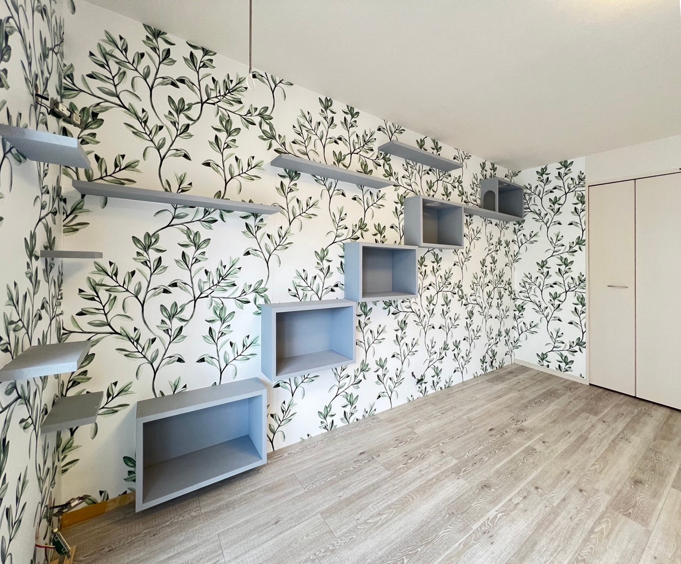 【コラム】新商品≪ひっかき防止シート≫賃貸物件の施工事例